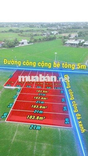 sổ hồng riêng , dt:5*21(105m2) giá : 279tr , đức tân-tân trụ-long an