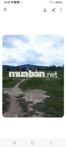 ___ Đất liền kề Cụm Công Nghiệp Tân Hiệp 
_Xung quanh xưởng full kín