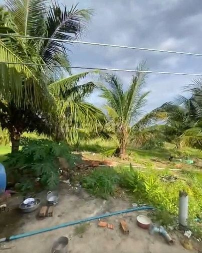 2,4 Mẫu Giá Chỉ 3 Tỷ Tân Hải LaGi Sẵn Nhà Vườn Đường Ô Tô
