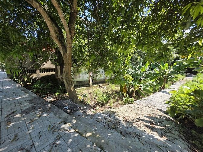 379 m² – Mặt tiền 10,5m –gần cổng Sân Golf Stone Valley – Sổ ODT 112m2