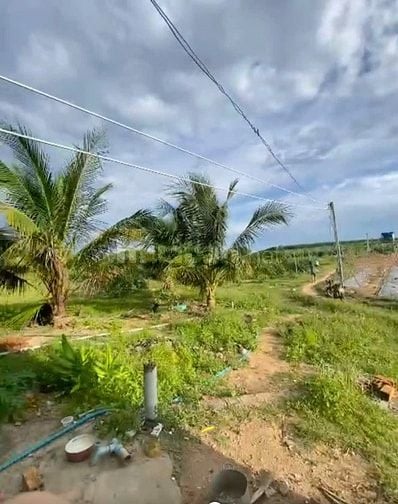 2,4 Mẫu Giá Chỉ 3 Tỷ Tân Hải LaGi Sẵn Nhà Vườn Đường Ô Tô