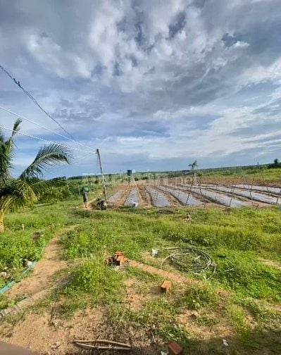 2,4 Mẫu Giá Chỉ 3 Tỷ Tân Hải LaGi Sẵn Nhà Vườn Đường Ô Tô