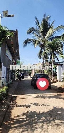 HẠ GIÁ CẦN BÁN GẤP 2,8 TỶ CÒN 2,550 tỷ LÔ HẺM 128 NGUYỄN XUÂN NGUYÊN