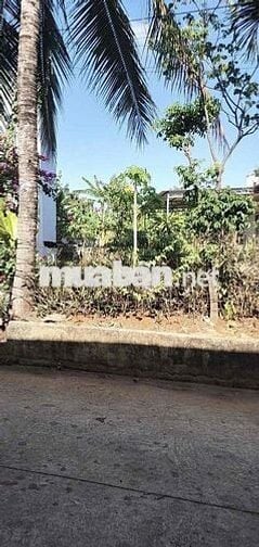 HẠ GIÁ CẦN BÁN GẤP 2,8 TỶ CÒN 2,550 tỷ LÔ HẺM 128 NGUYỄN XUÂN NGUYÊN