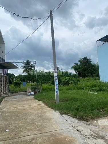 Công ty đấu giá hợp danh Sao Việt 