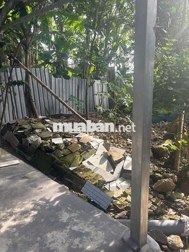 Nhà cấp 4 mới xây, hơn 45m2, 2 phòng ngủ, liên ấp 1-2, Bình Chánh