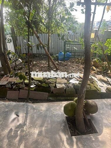 Nhà cấp 4 mới xây, hơn 45m2, 2 phòng ngủ, liên ấp 1-2, Bình Chánh