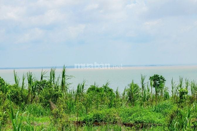ĐẤT VƯỜN CHÍNH CHỦ sổ đỏ 6.456m2 cạnh HỒ TRỊ AN - đường nhựa xe hơi