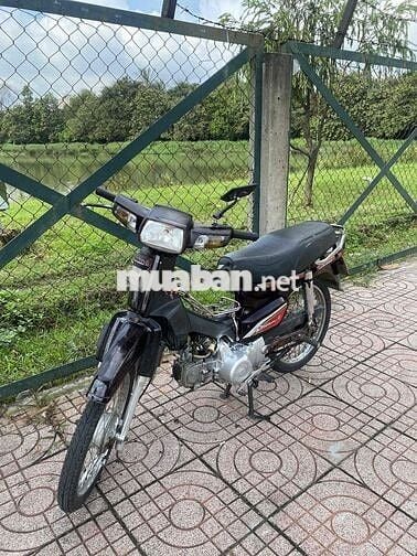 xe dream trung quốc gtdd
