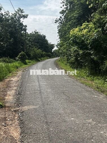 Bán đất Đắk Ơ, Bù Gia Mập, Bình Phước, 14,2 tỷ, 35600 m2