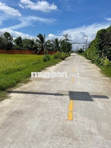 Chinh Chủ Bán Đất Mặt Tiền TT Cần Đước Giá 100%