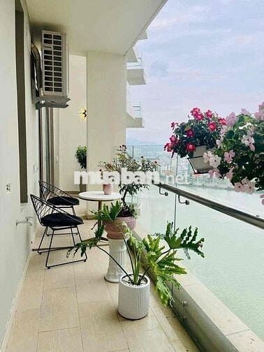 CHO THUE CAN HO 1 PHONG NGỦ HILTON- FULL NOI THAT