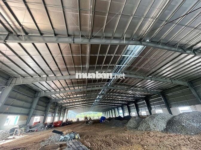 Cho thuê xưởng mới 100% tại Chánh Phú Hoà Bến cát Bình Dương