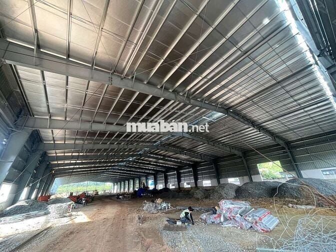 Cho thuê xưởng mới 100% tại Chánh Phú Hoà Bến cát Bình Dương