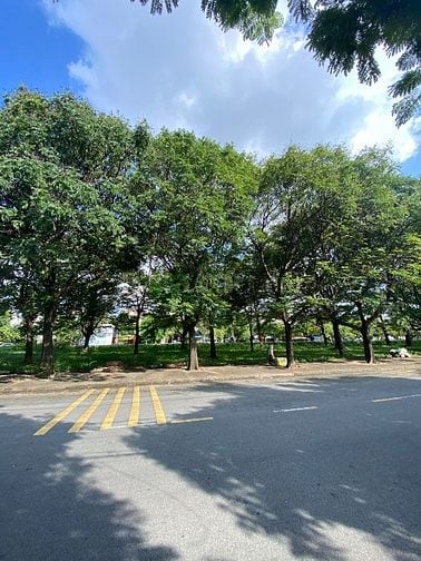 Cho thuê mặt bằng lầu 1, DT 600m2. Giá 90tr. KCN Tân Bình