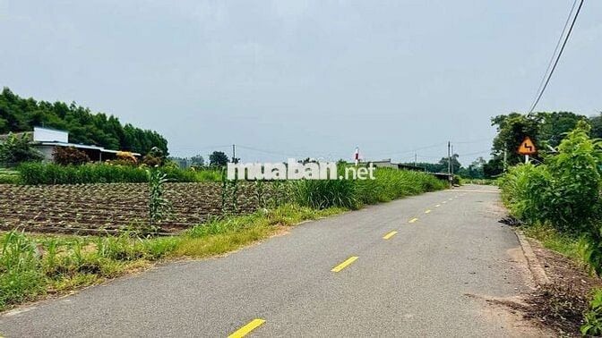 Lô đất đẹp và viu núi gần biển chỉ các biển chưa đến 1 km anh chị nhé.