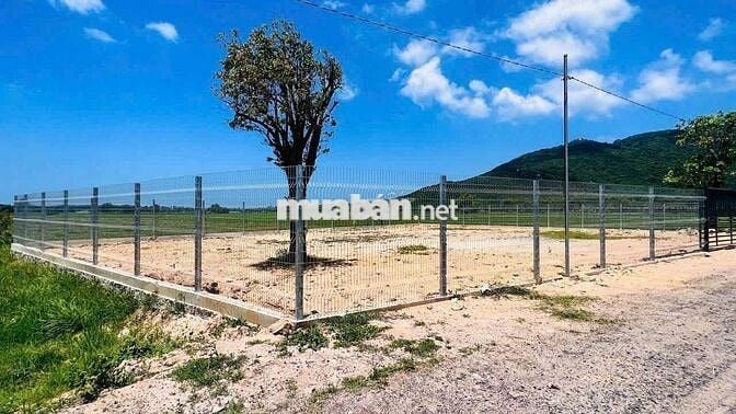 Lô đất đẹp và viu núi gần biển chỉ các biển chưa đến 1 km anh chị nhé.