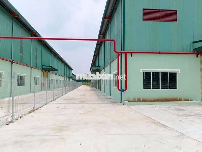 CHO THUÊ KHO TỪ 200M² ĐẾN 4500M² TẠI LIÊN CHIỂU, GIÁ TỐT CHỈ TỪ 47K/M²