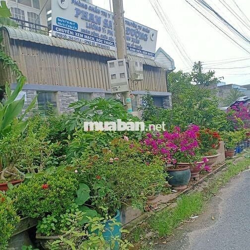Đất nền phạm văn bạch thạnh hoá