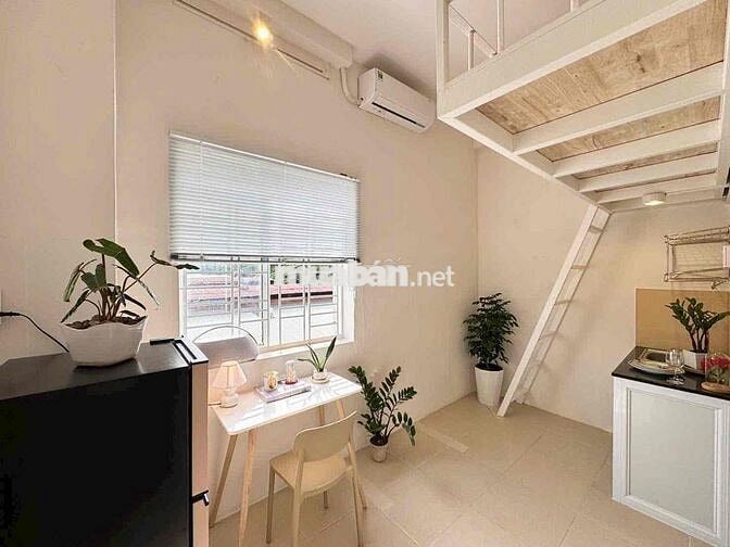 Cho thuê Duplex cửa sổ trời nội thất đẹp gần ĐH UEH Đồng Nai Q10