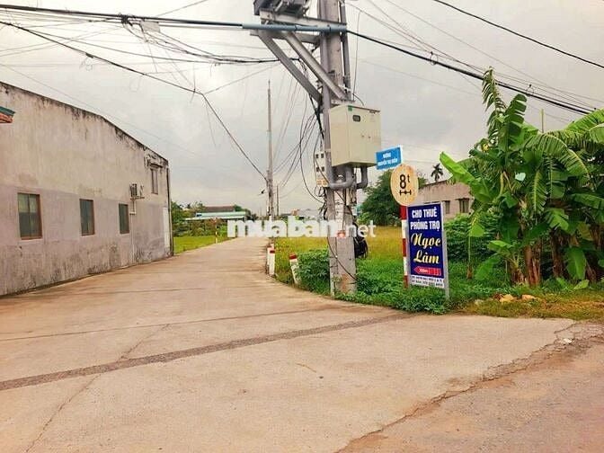 Hàng Vip, 226m2 đất thổ xây trọ KCN An Nhựt Tân, chỉ 1.1 tỷ