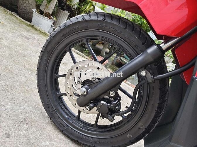 Vario mẫu củ thần thánh