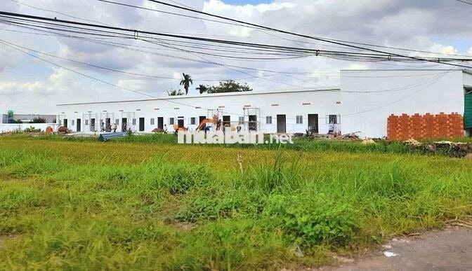 Hàng Vip, 226m2 đất thổ xây trọ KCN An Nhựt Tân, chỉ 1.1 tỷ