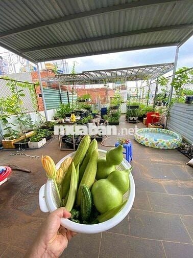 Bán nhà Mặt tiền ĐHT 6x35m, 2 lầu, 4pn, KD mua bán được, ĐHT, Q12