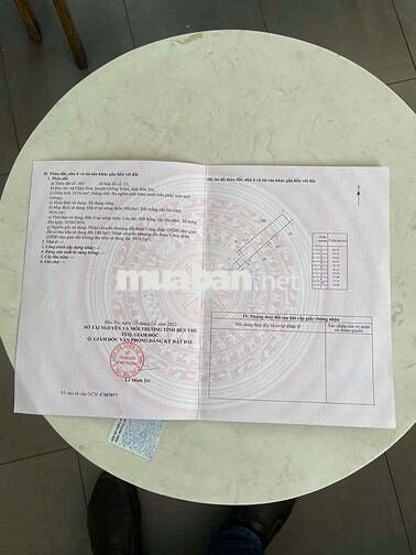 8 công vườn dừa Châu Hòa Giồng Trôm
