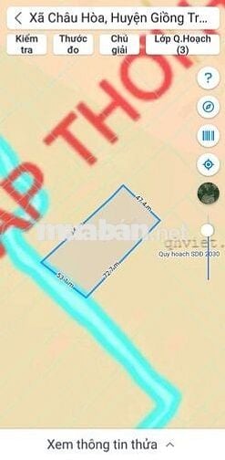 8 công vườn dừa Châu Hòa Giồng Trôm