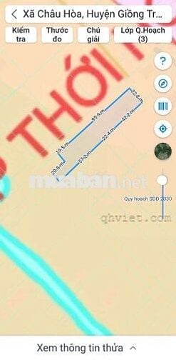 8 công vườn dừa Châu Hòa Giồng Trôm