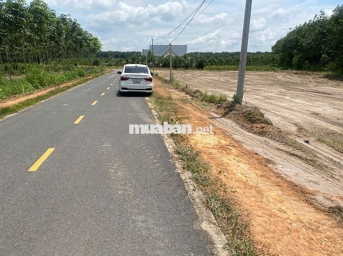 399tr sổ hữu ngay lô đất đường nhựa quy hoạch 20m Lò Rèn Minh Thạnh
