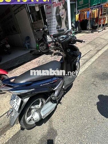 Yamaha Luvias bstp