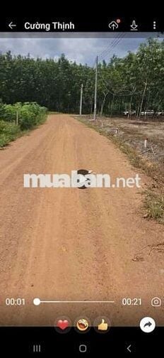 Đất quy hoạch SKC sản xuất kinh doanh 1,4ha giá 6,2 tỷ xã Minh Thạnh