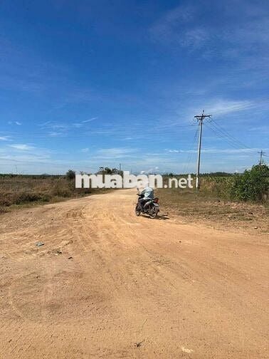 18ha đất cây lâu năm gần nút giao cao tốc lương sơn bình thuận