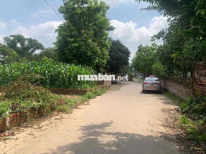 Bán đất – Thái Lai (Xã Minh Trí, SS) – 357m² – 2,4 Tỷ – Đường Thông Ot