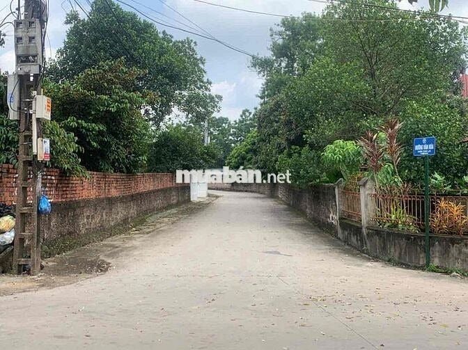 Bán đất – Thái Lai (Xã Minh Trí, SS) – 357m² – 2,4 Tỷ – Đường Thông Ot