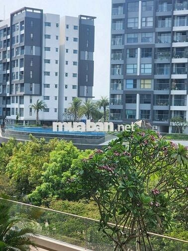 Celadon CIty - Cho thuê căn Diamond Giá 16 triệu/ th. NTCB 2PN2WC