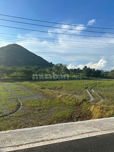1482m2 Nguyễn Minh Châu Tân Tiến LaGi Đường Nhựa Giá Chỉ 1,8 Tỷ