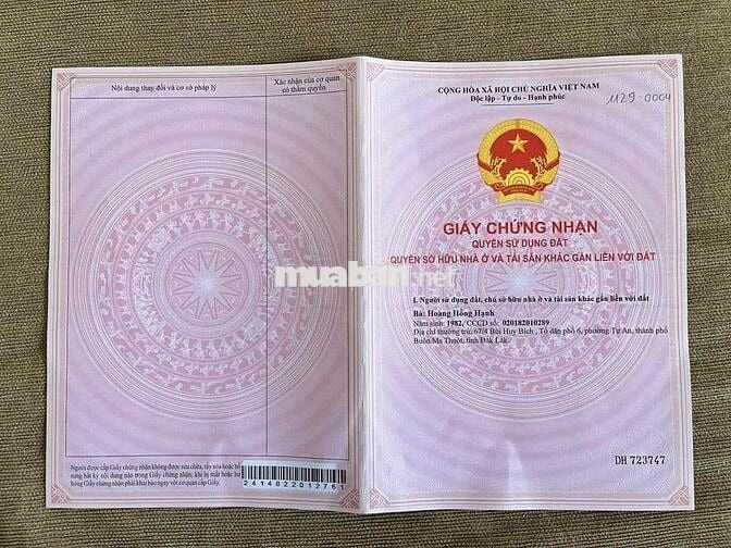 Nhà thổ cư 100% hẻm xe hơi cách đường Đinh Tiên Hoàng 150m, ngã 6 800m