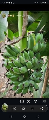 Cần bán đất nông nghiệp 3.5 tỷ -Ấp 18 Gia Đình- Xã Bảo Quang