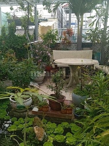 Bán nhà 18 tỷ - mặt tiền đường Huy Cận- P.  Phước Long B Quận 9