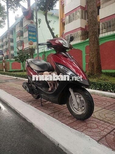 JOCKEY 125