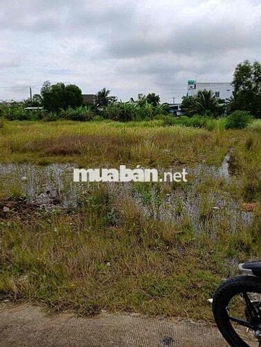 Chính chủ bán gấp lô đất 100m² Phước Lý – Cần Giuộc, SHR, giá chỉ 750t