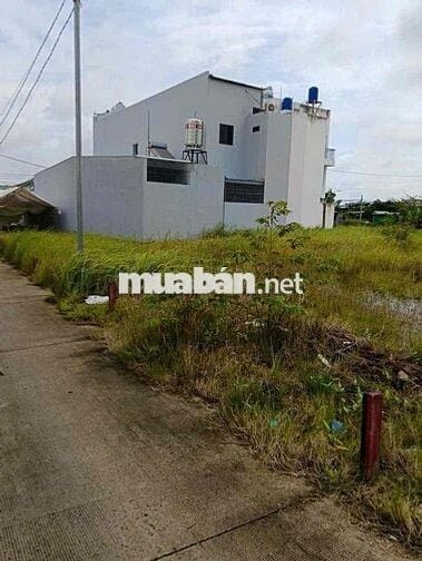 Chính chủ bán gấp lô đất 100m² Phước Lý – Cần Giuộc, SHR, giá chỉ 750t
