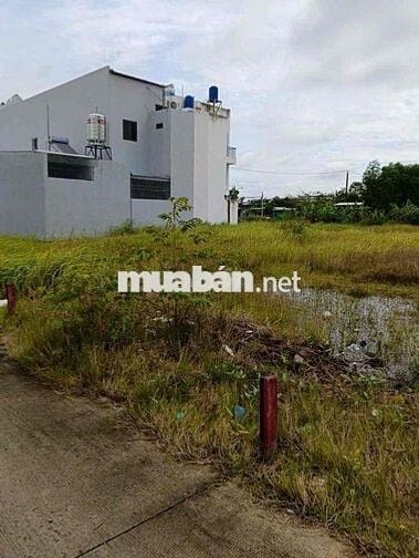 Chính chủ bán gấp lô đất 100m² Phước Lý – Cần Giuộc, SHR, giá chỉ 750t