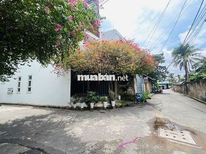 Vị trí đẹp: Lô đất đường nhựa LỚN, cách đường số 2 chỉ 30m_4.1m x 18m