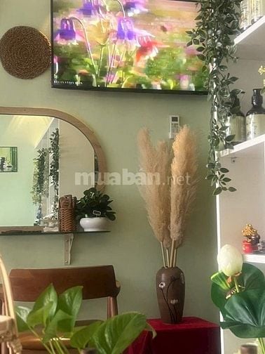 SANG TIỆM GỘI DƯỠNG SINH RẤT TIỀM NĂNG, P13, Q. TÂN BÌNH
