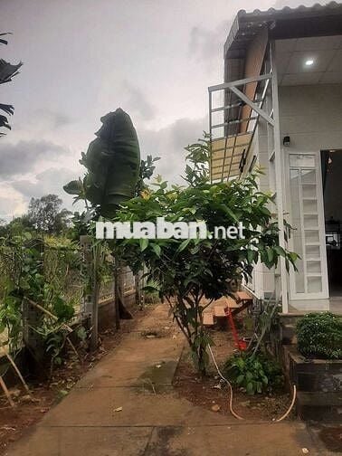 Nhà mới xây kiên cố, view đẹp, gần nhà thờ Tân Bùi, hẻm xe hơi.
