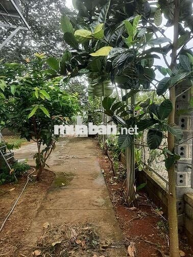 Nhà mới xây kiên cố, view đẹp, gần nhà thờ Tân Bùi, hẻm xe hơi.